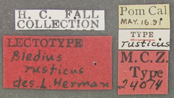 Media type: image;   Entomology 24074 Aspect: labels